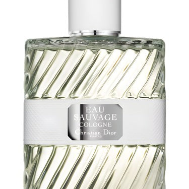 CD_EAUSAVAGE_3.4OZEDTSPRMEN.jpg