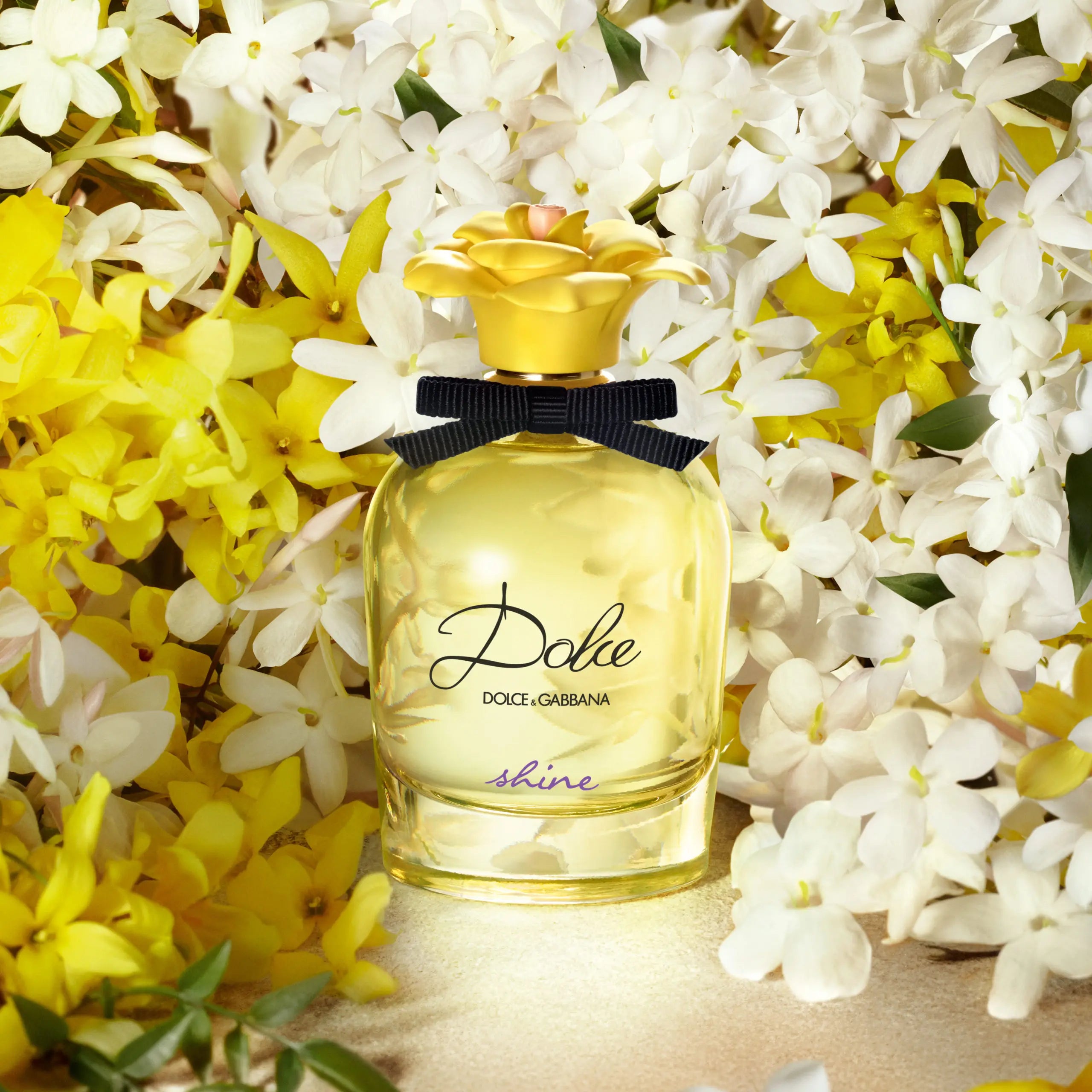 D_G_DOLCESHINE_2.5OZEDPSPRWOMEN_2.webp