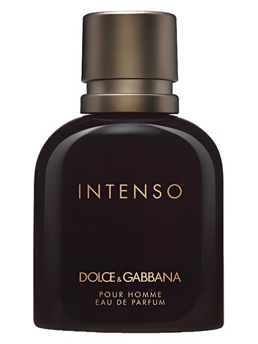 D&G "INTENSO" 4.2OZ EDP SPR MEN