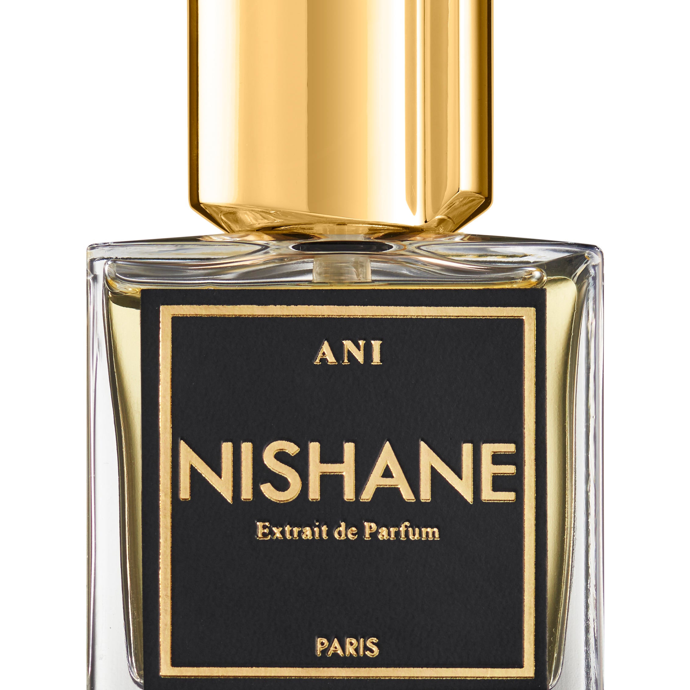NISHANE_ANI_3.4OZEXTRAITDEPARFUM.jpg