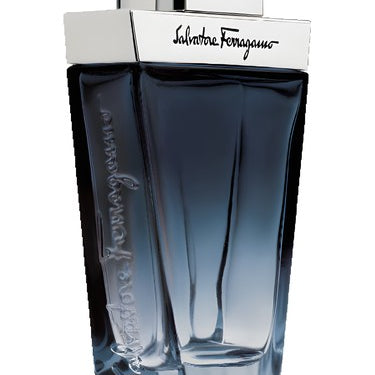 SALVATOREFERRAGAMO_SUBTIL_3.4OZEDTSPRMEN.jpg